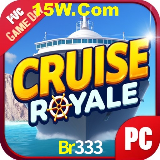 Security Systems Br333