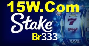 Premium Interface Br333