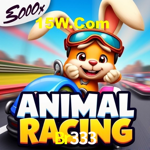 Interface Premium Br333