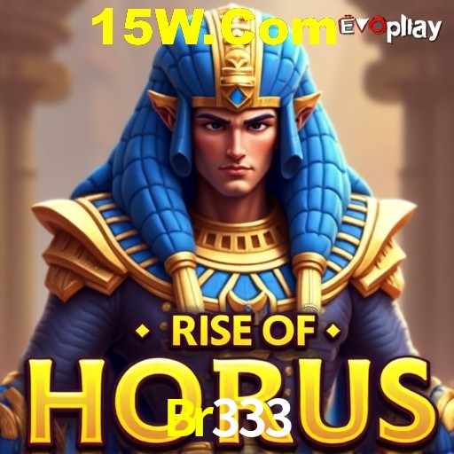 Exclusive Offers Br333