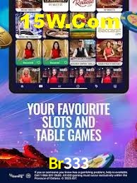 Bonus Features Br333