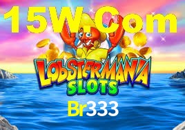 Programa VIP Br333