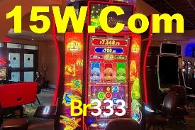 Experimente o Login Seguro Premium no Br333