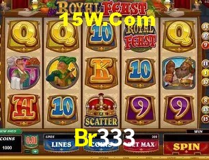 Login Seguro Br333