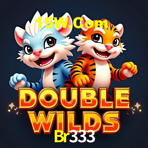 Recursos de Bônus Br333